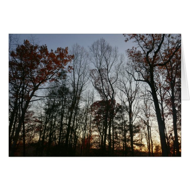Atardecer de noviembre (Anverso (Horizontal))