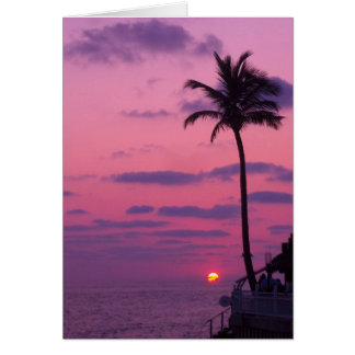 Atardecer De Shephards, Clearwater, Fl.