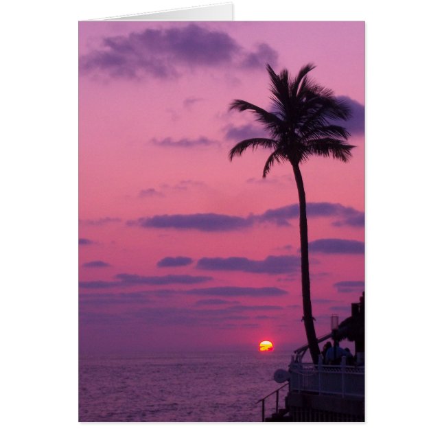 Atardecer De Shephards, Clearwater, Fl. (Frente)