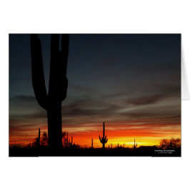 Atardecer del desierto de Sonoran Arizona con cact