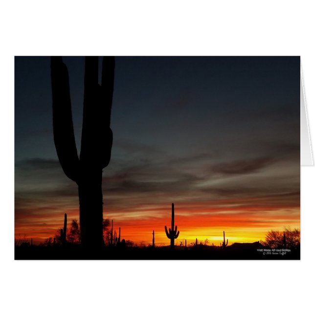 Atardecer del desierto de Sonoran Arizona con cact (Anverso (Horizontal))