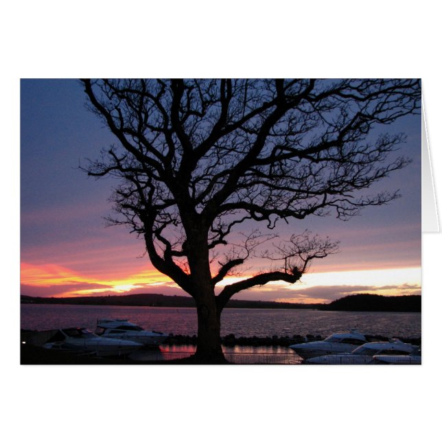 Atardecer en el puerto (Anverso (Horizontal))