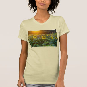Atardecer En La Camiseta De Sunflower Field