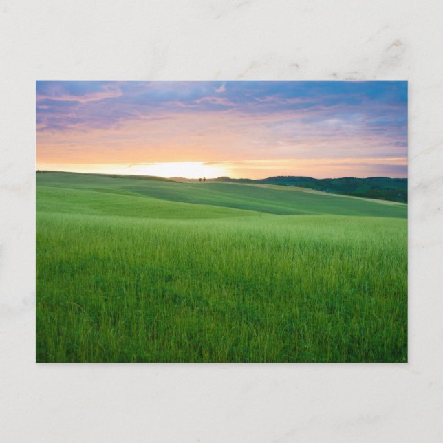 Atardecer en la postal toscana (Anverso)