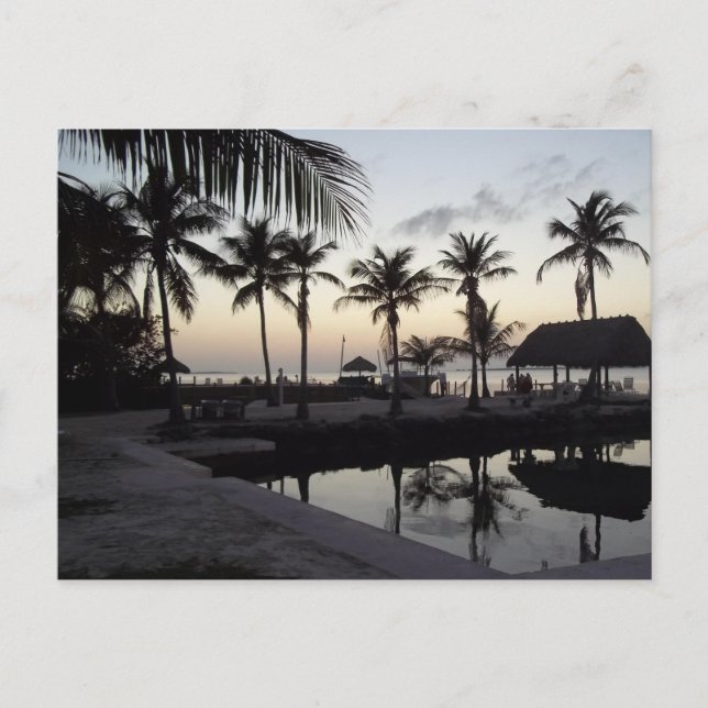 Atardecer en la tarjeta postal Keys (Anverso)