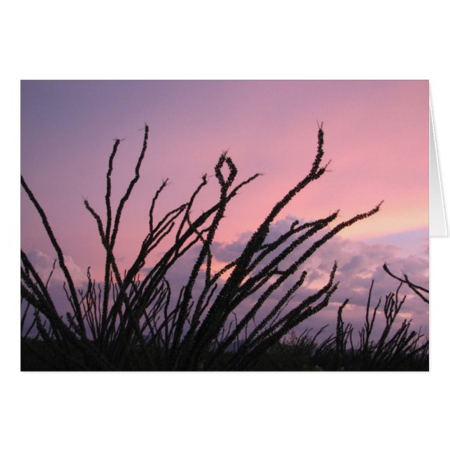 Atardecer en lavanda (Anverso (Horizontal))