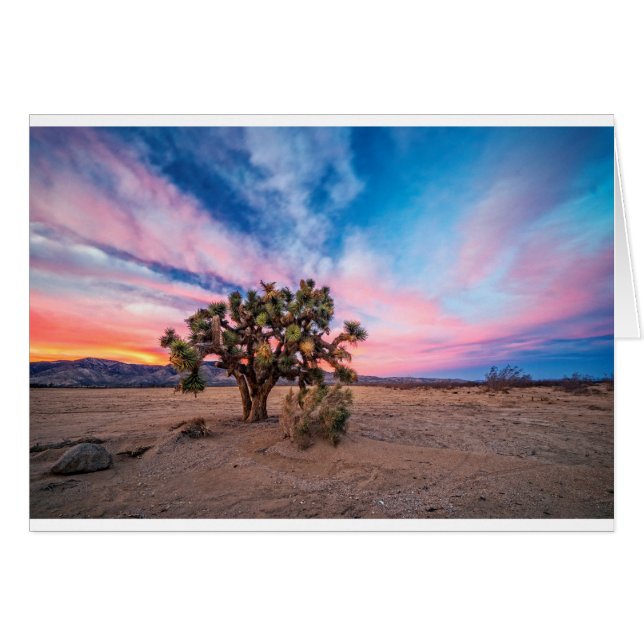 Atardecer en Mojave (Anverso (Horizontal))