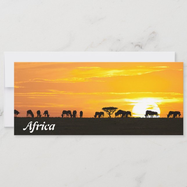 Atardecer en Serengeti (Anverso)