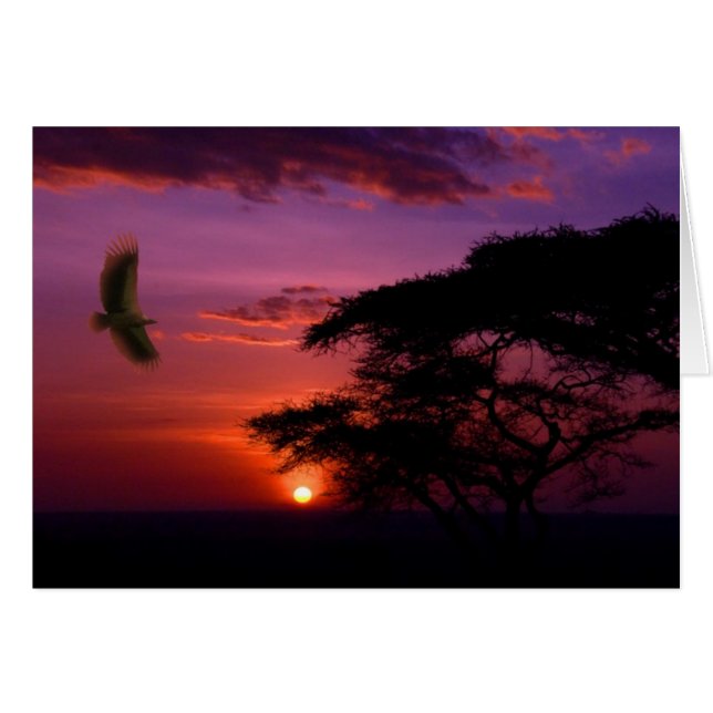 Atardecer en Serengeti, Tanzania (Anverso (Horizontal))