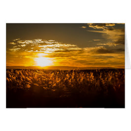 Atardecer en Sudáfrica