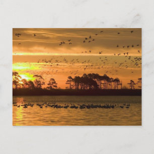 Atardecer en tarjeta postal de Chincoteague
