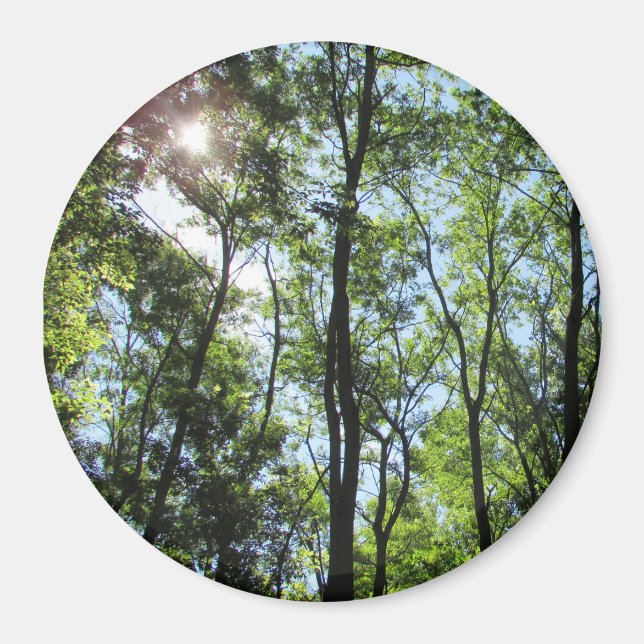 Atardecer mirando a través del imán fotográfico de (Frente)