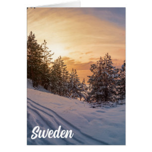 Atardecer sobre bosque de nieve congelado cerca de