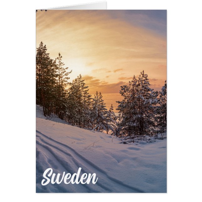 Atardecer sobre bosque de nieve congelado cerca de (Frente)