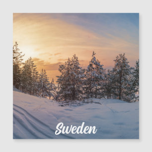 Atardecer sobre bosque de nieve congelado cerca de