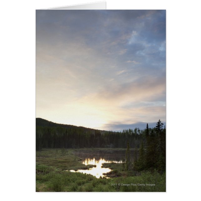 Atardecer Sobre Un Estanque Misterioso (Frente)