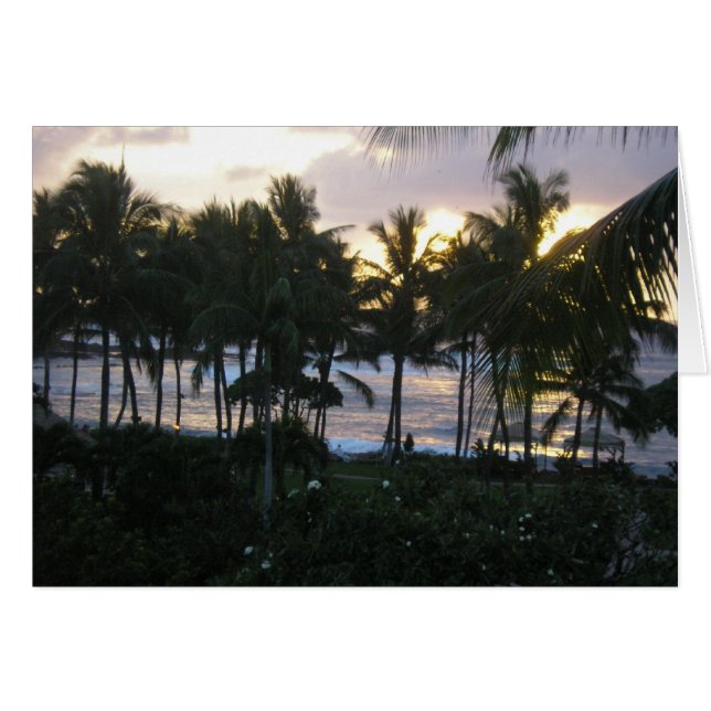 Atardecer tropical (Anverso (Horizontal))