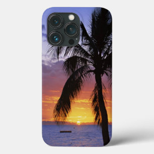 Atardecer tropical con Ca para iPhone Funda de árb