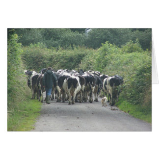 ¡Atasco de tráfico!