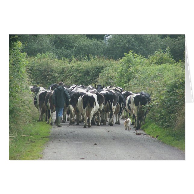 ¡Atasco de tráfico! (Anverso (Horizontal))