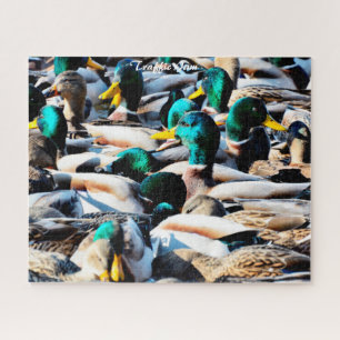 Atasco de tráfico de Mallks Ducks Puzzle