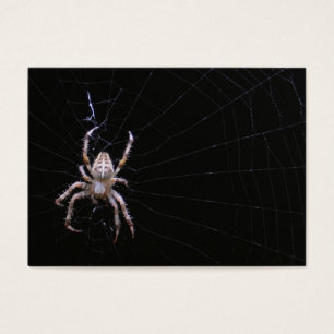ATC cruzado del ~ de la araña