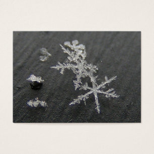 ATC del ~ de la escama 49 de la nieve