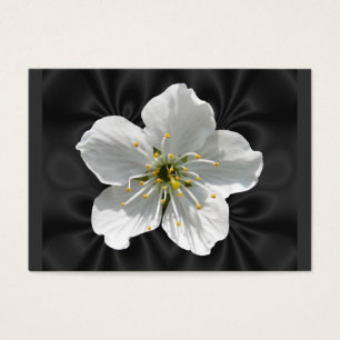 ATC del ~ de la flor de cerezo