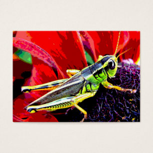 ATC del saltamontes