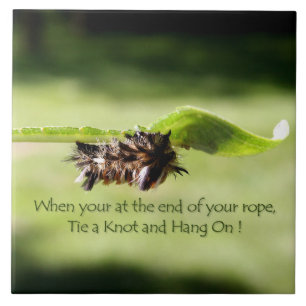 "Ate un nudo y cuelgue en" la baldosa cerámica de