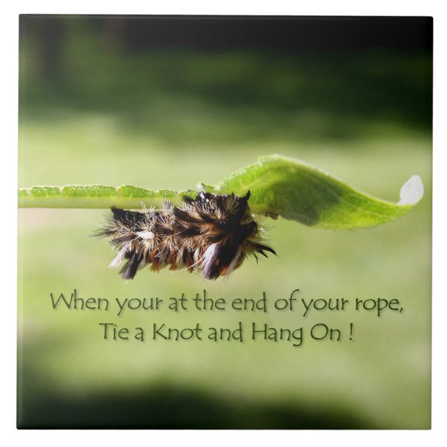 "Ate un nudo y cuelgue en" la baldosa cerámica de (Frente)