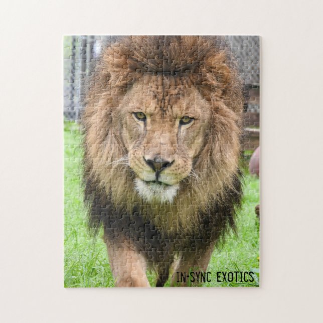 Atenas - Rompecabezas (Vertical)