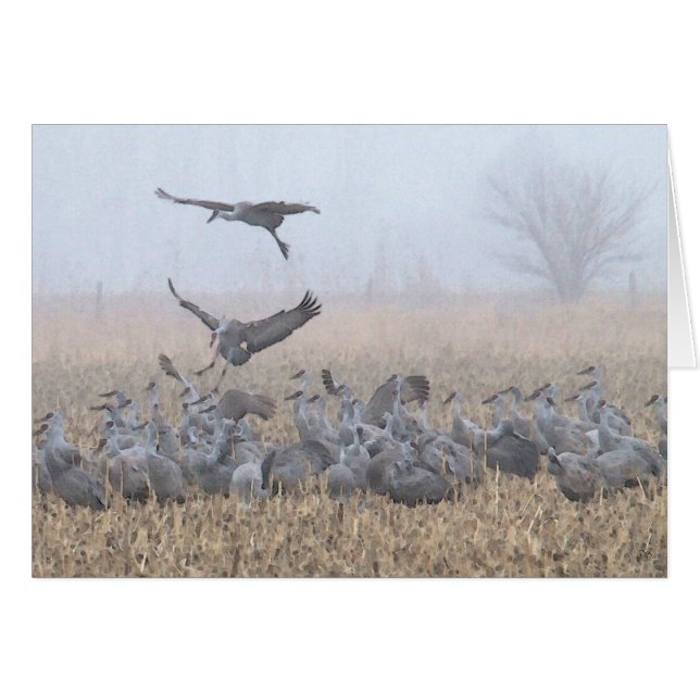 Aterrizaje brumoso de Nebraska de la mañana (Anverso (Horizontal))