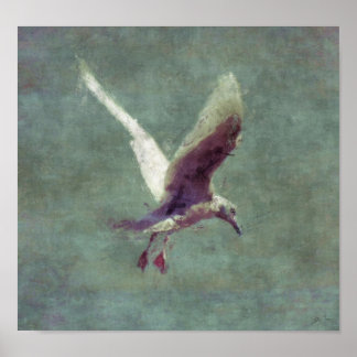 Aterrizaje de gaviota en Poster de arte impresioni