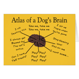 Atlas del cerebro de un perro