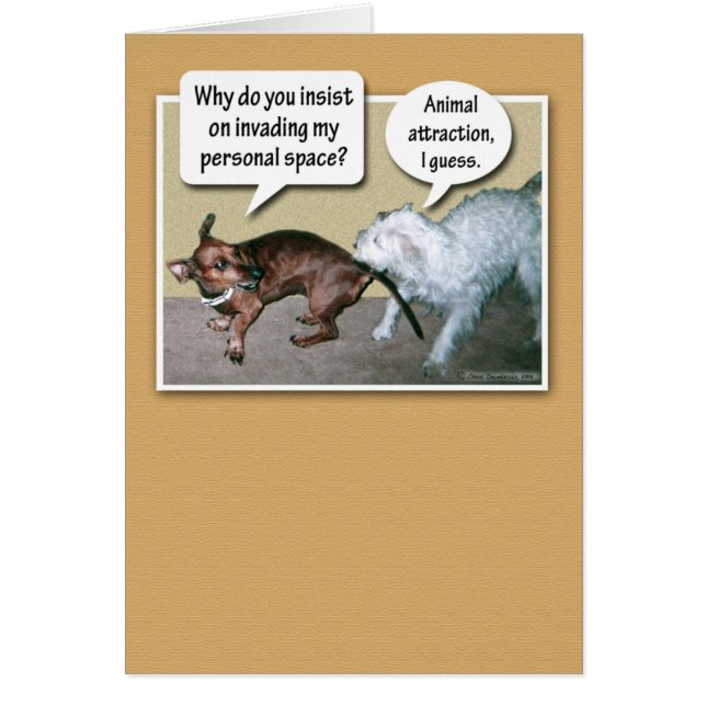 Atracción animal divertida (Frente)