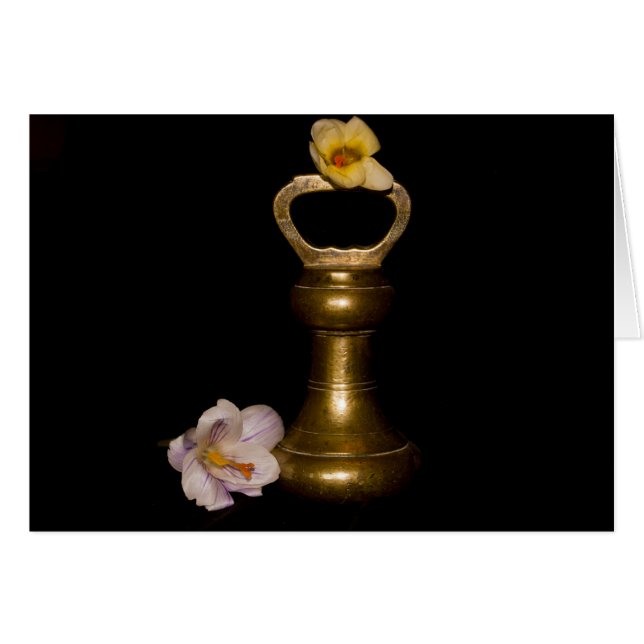 Atracción floral (Anverso (Horizontal))