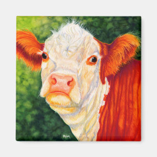 Atractivo el imán feliz de la vaca de Hereford de