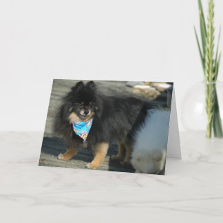 Atractivo Fiesta de Pomerania ~ Tarjeta de cumplea