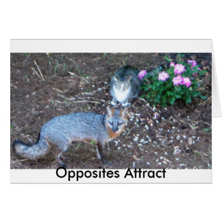 Atraer opuestos