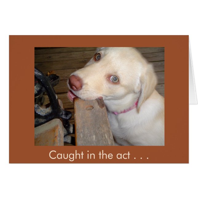 Atrapado en el acto de amarte laboratorio amarillo (Anverso (Horizontal))