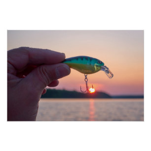 Atrapar el poster de la puesta de sol