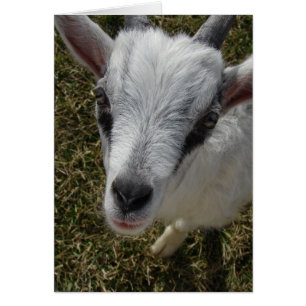 Atraviesa a Billy Kid