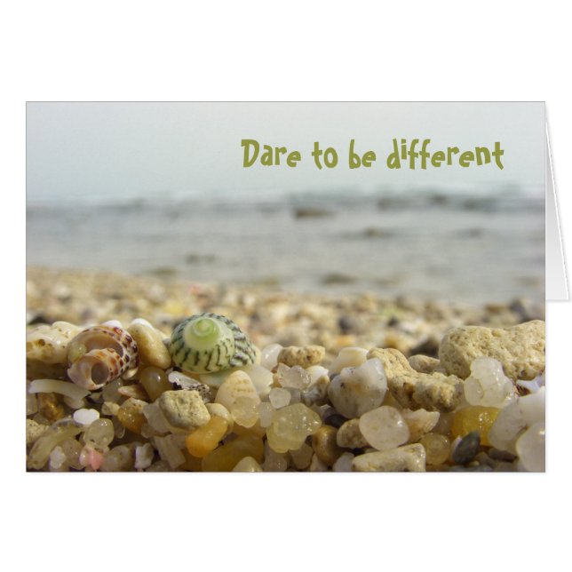 Atrévase a ser diferente Shell & Pebbles en la pla (Anverso (Horizontal))
