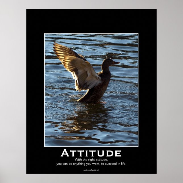 Attitude Mallard Duck Posters motivacionales (Frente)