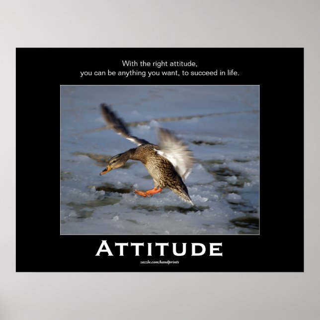 Attitude Mallard Duck Posters motivacionales (Frente)