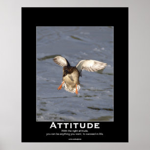 Attitude Mallard Duck Posters motivacionales