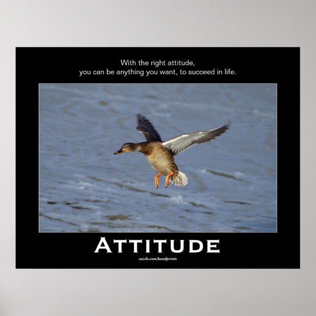 Attitude Mallard Duck Posters motivacionales (Frente)