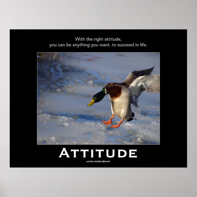Attitude Mallard Duck Posters motivacionales (Frente)
