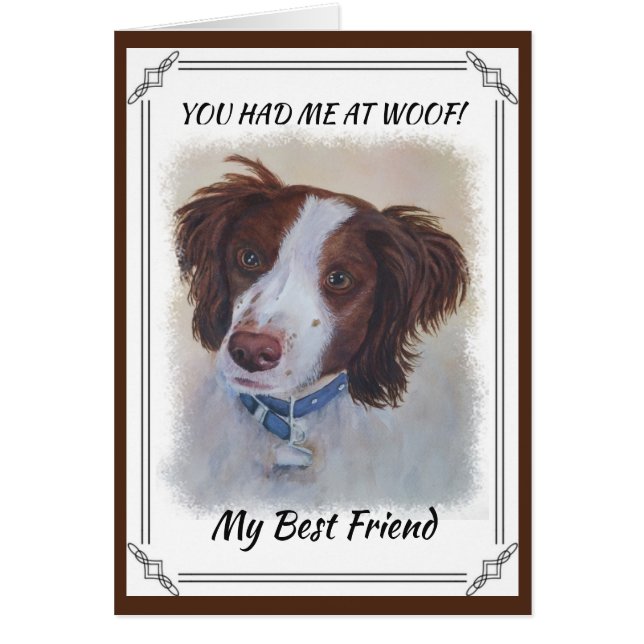 AUBURN SETTER MIX (Frente)